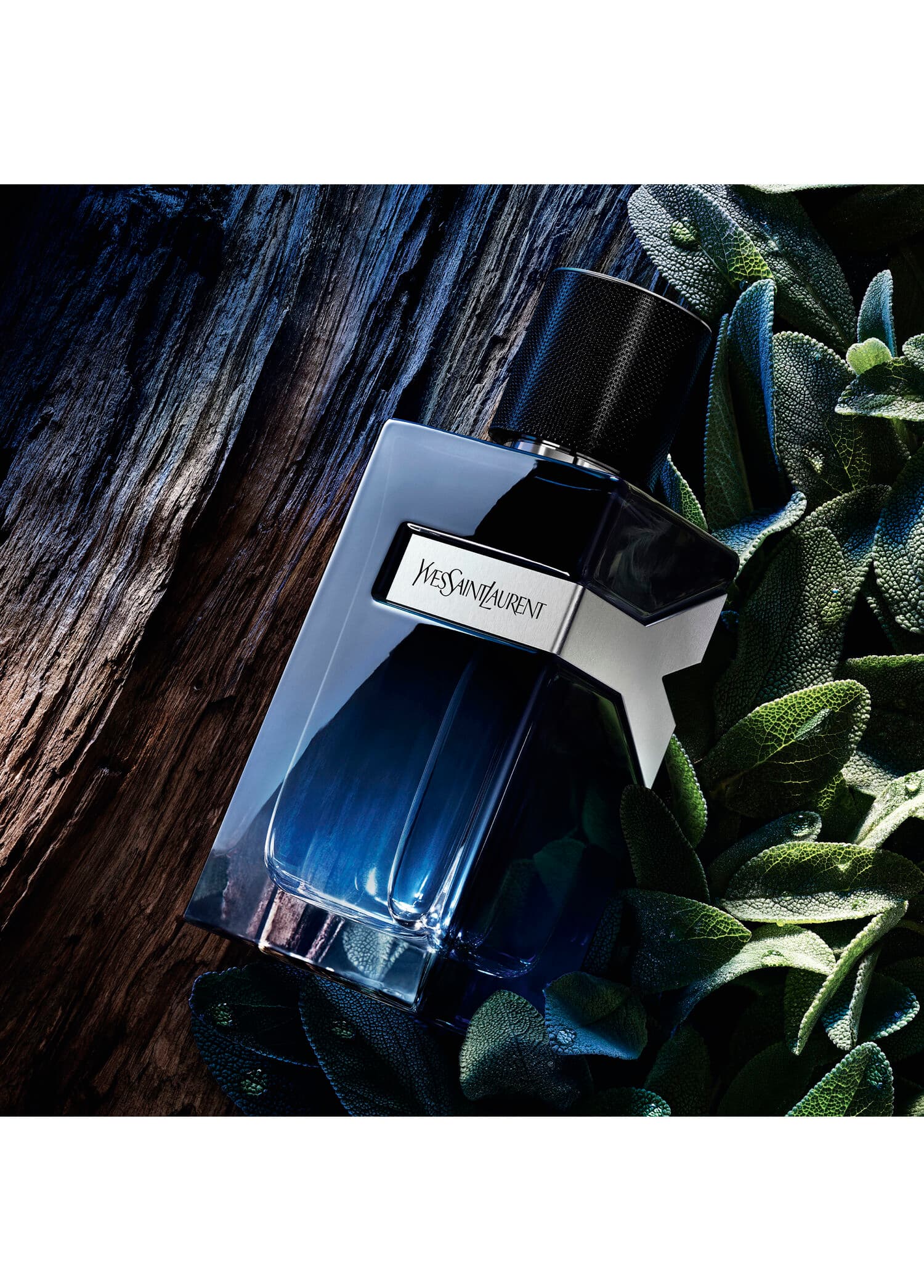 Yves Saint Laurent Y Men 100Ml Edp Erkek Parfüm tester görsel 5, 5/5