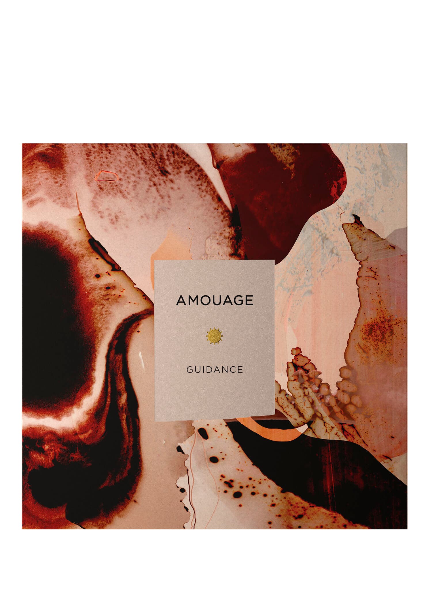Amouage Guidance Edp 100ml görsel 2, 2/5