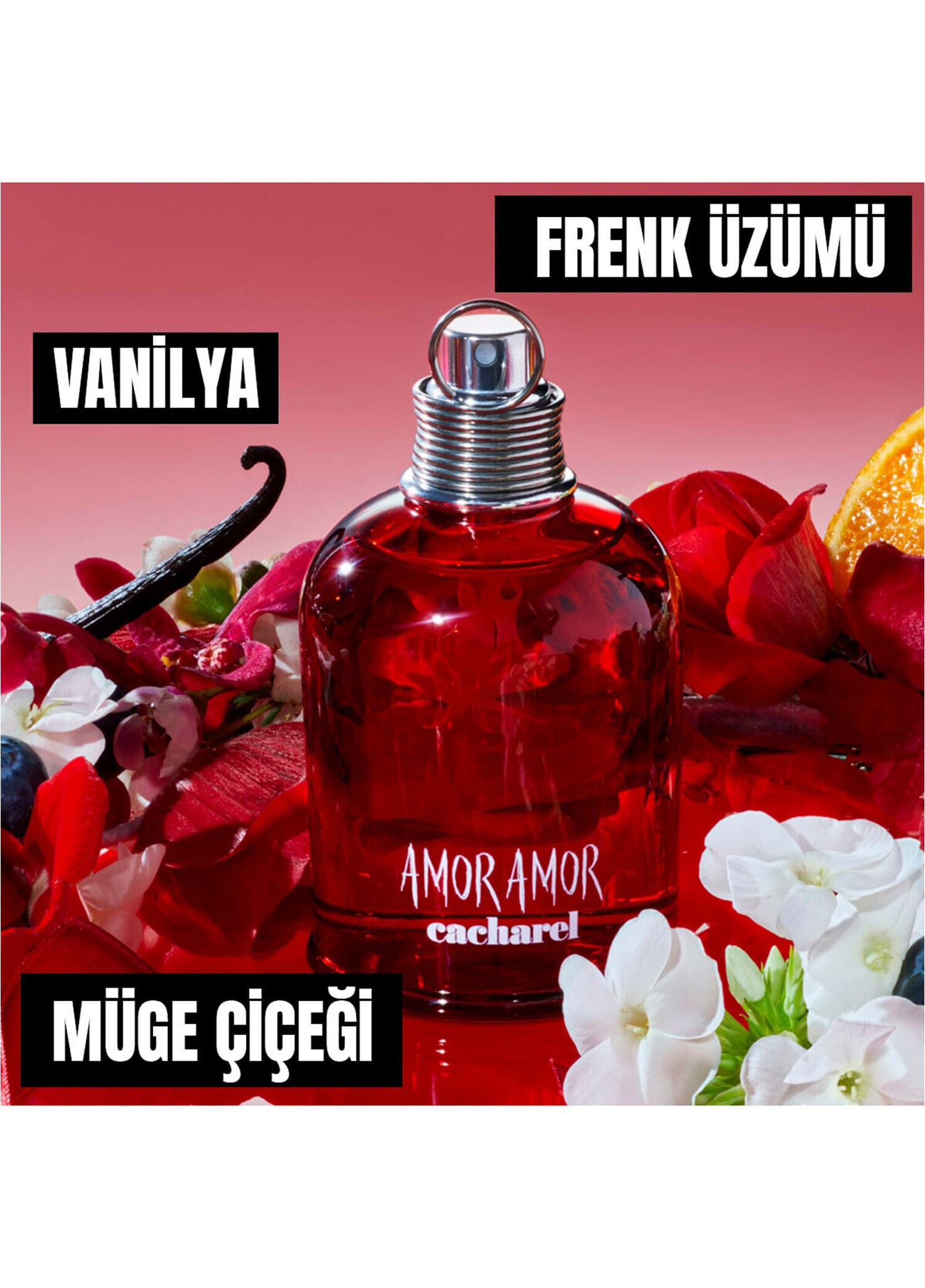 Cacharel Amor Amor Edt 100ml Bayan Tester Parfüm görsel 4, 4/5