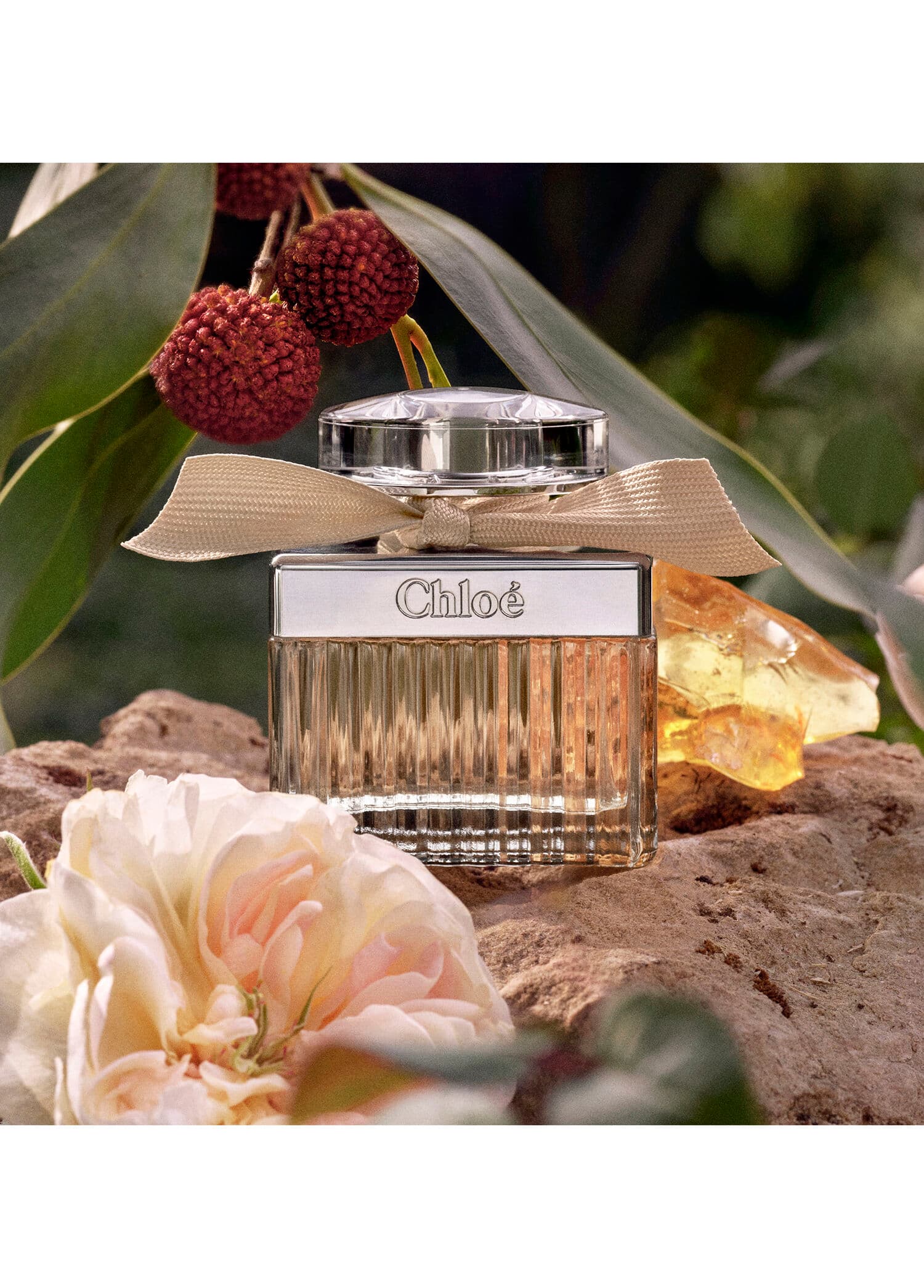 Chloe Signature Eau De Parfum 75ml Bayan Tester Parfüm görsel 2, 2/5