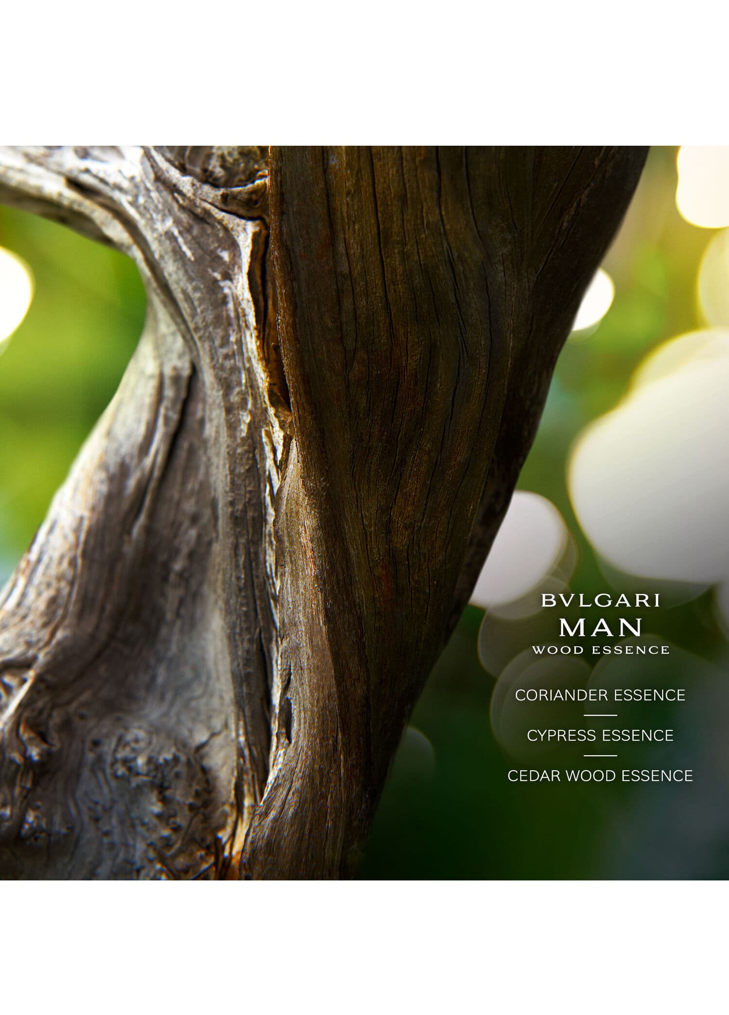 BVLGARI Man Wood Essence EDP görsel 5, 5/5