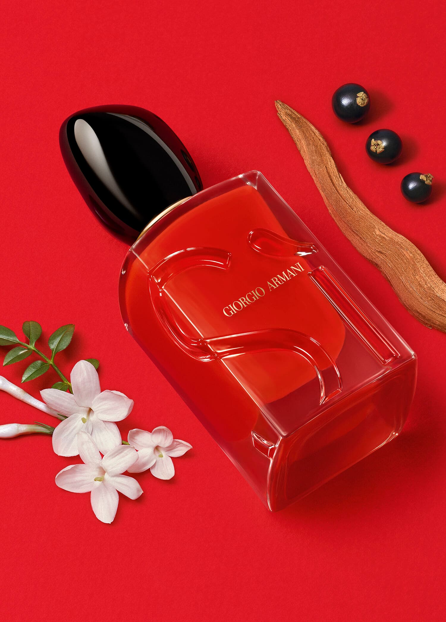 Giorgio Armani Si Passione 100ml Edp Bayan Tester Parfüm görsel 3, 3/5